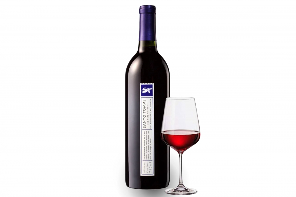 Merlot ST | Santo Tomás