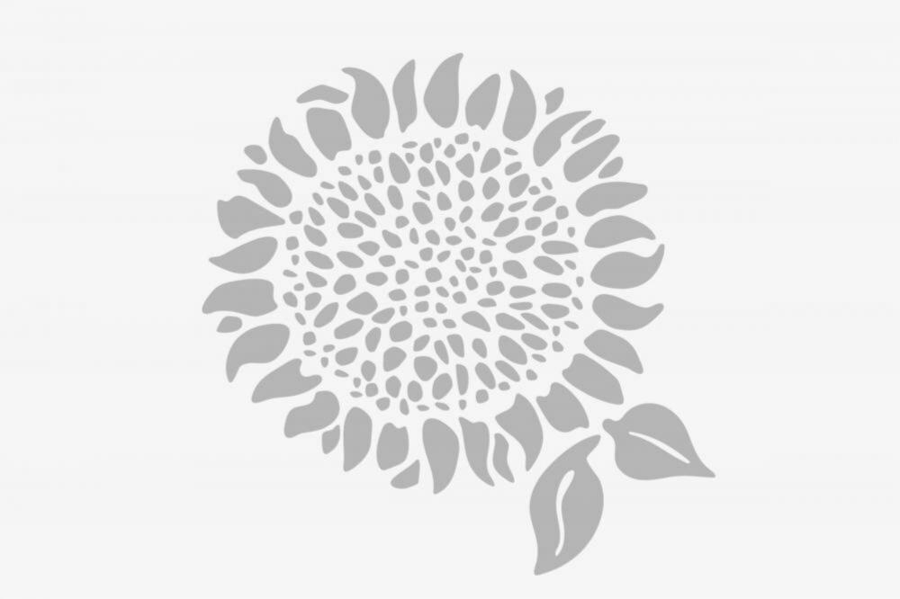 Tisana de Frutas Tropicales